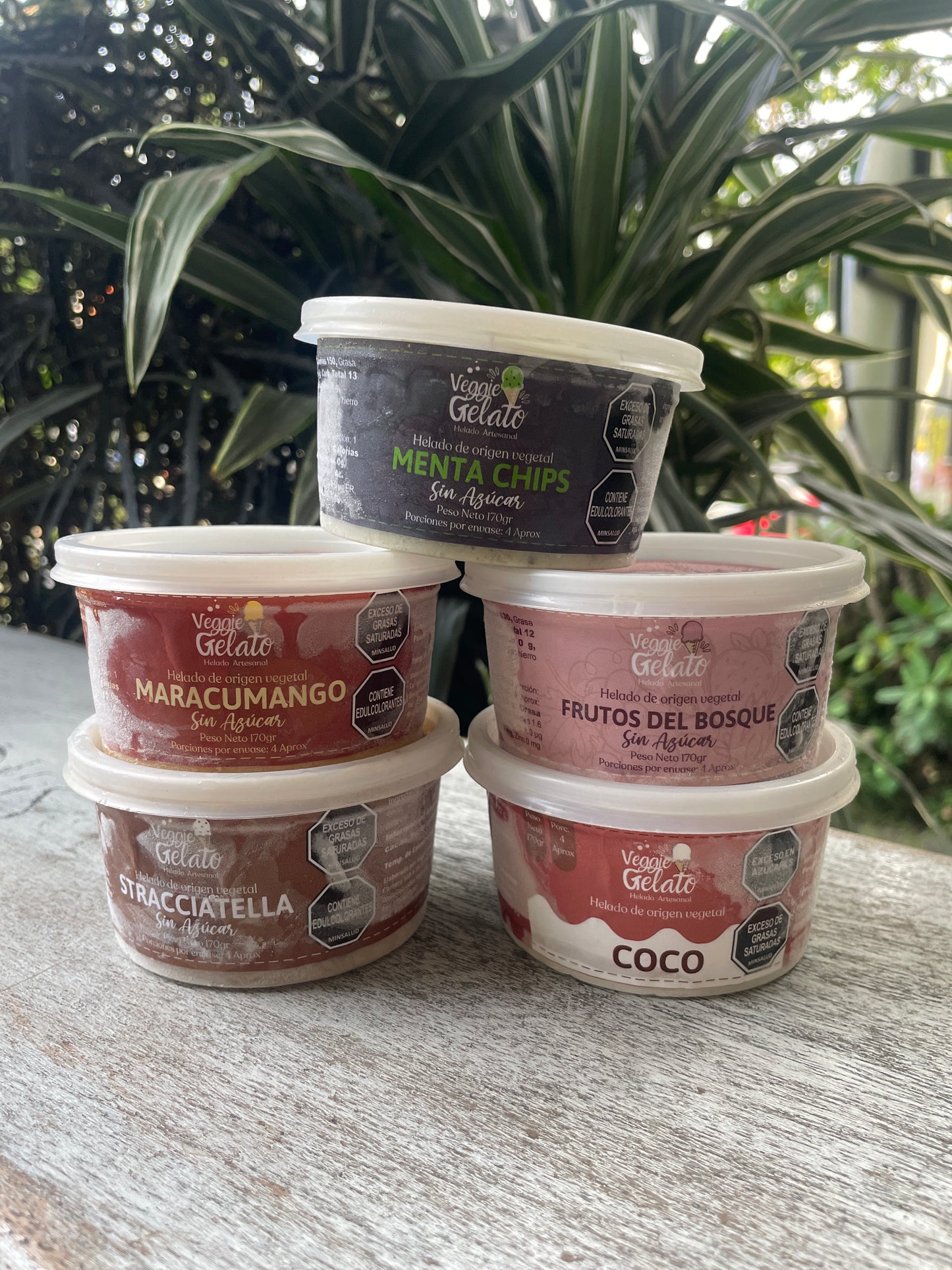 Veggie gelato Helado vegano