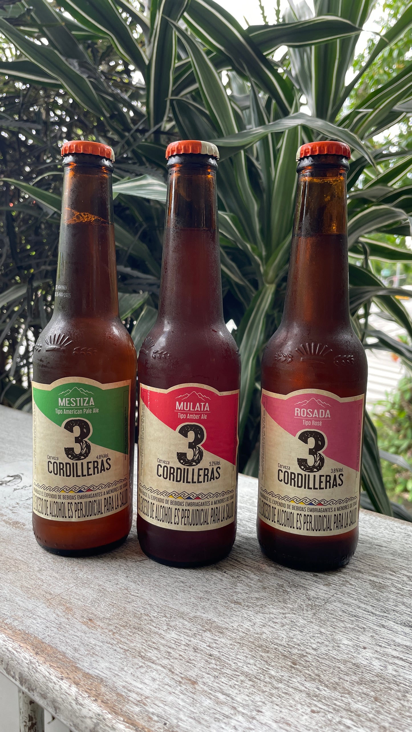 Cerveza 3 Cordilleras