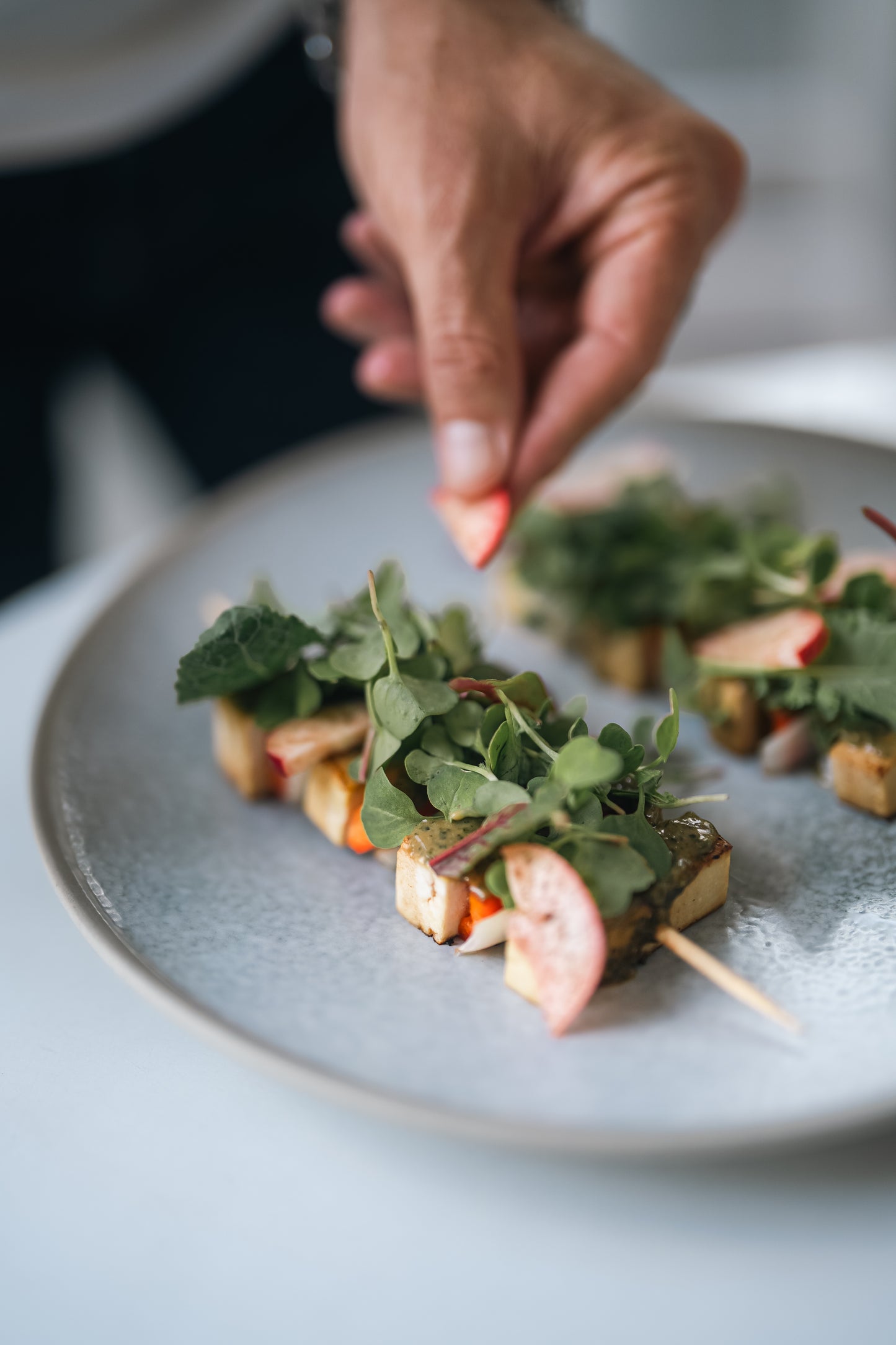 PINCHOS DE TOFU CON ARROZ AROMATIZADO