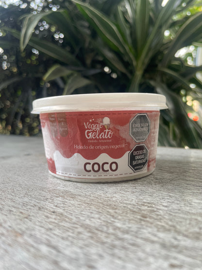 Veggie gelato Helado vegano