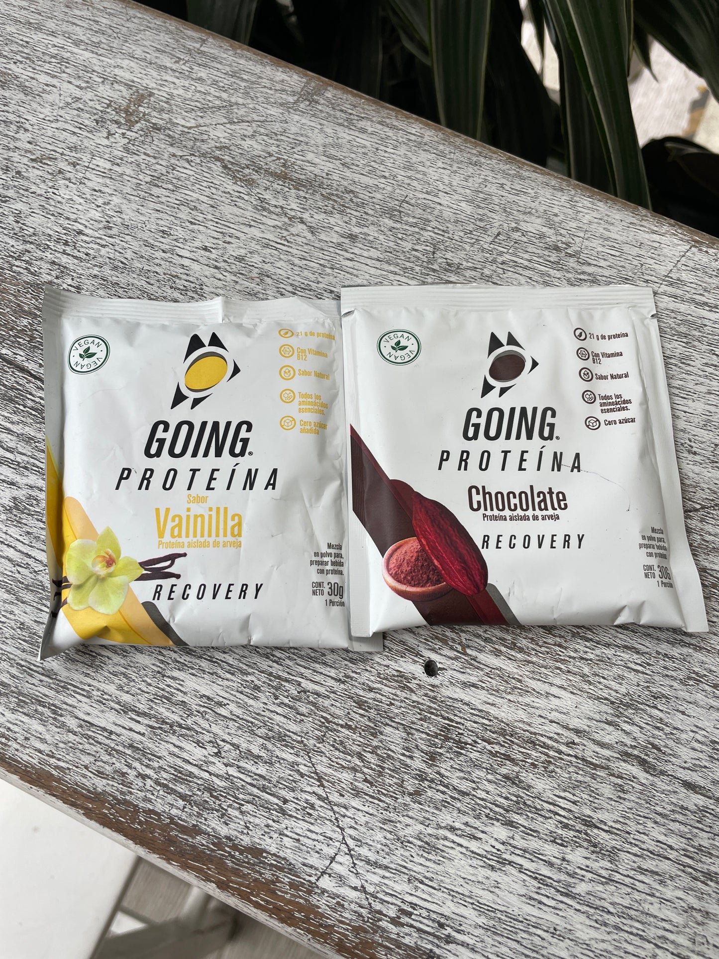 Going proteína x30g