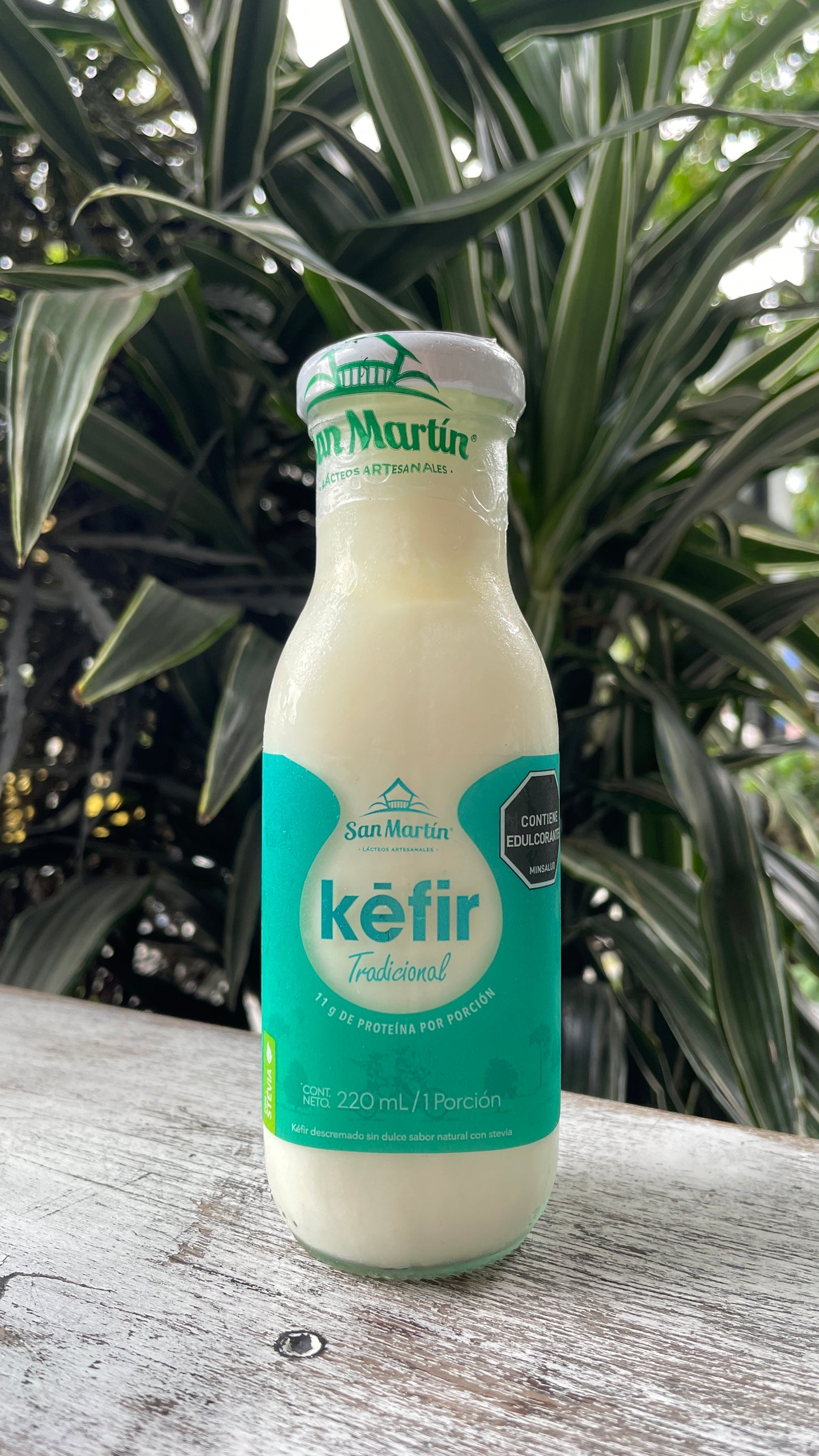 Kefir san martin