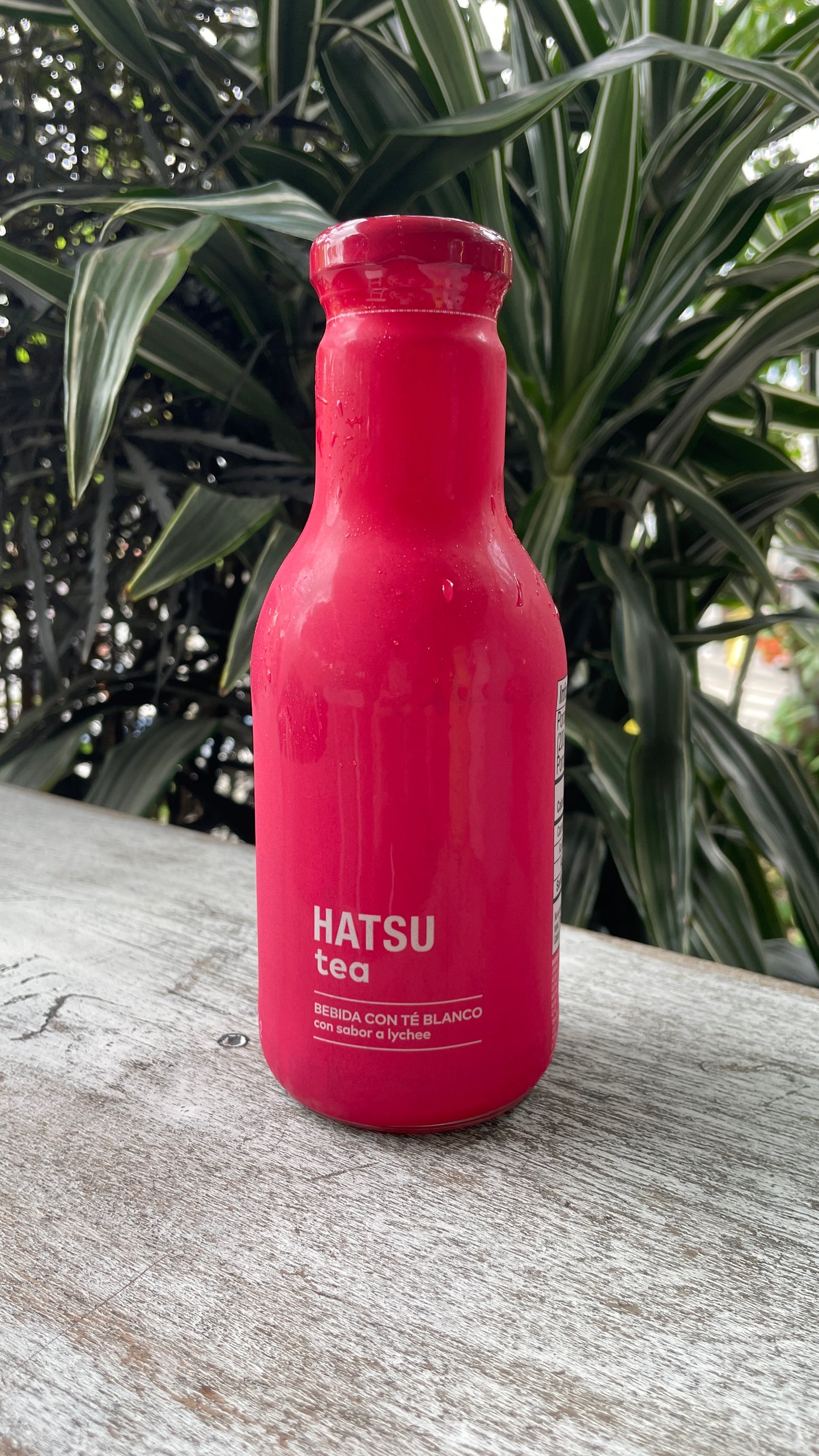 Tea Hatsu