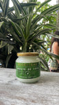 BioEssens Aceite de coco