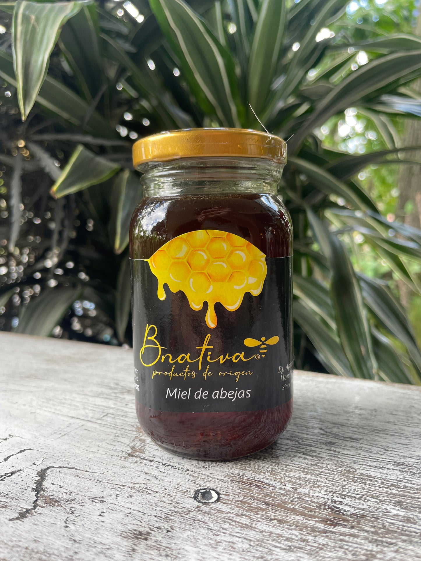 Miel de abeja Bnativa
