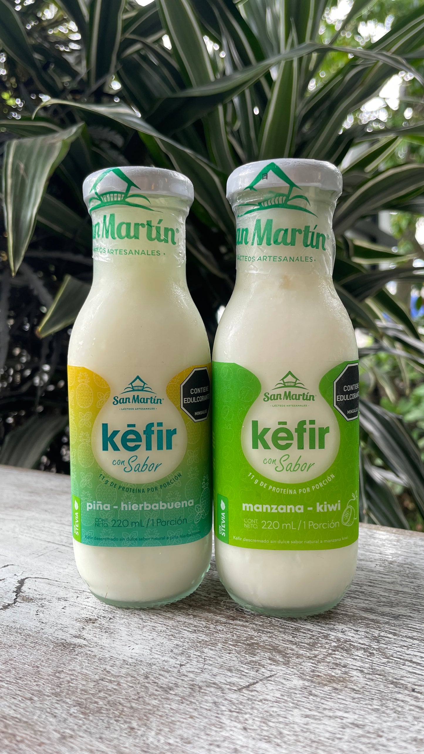 Kefir san martin