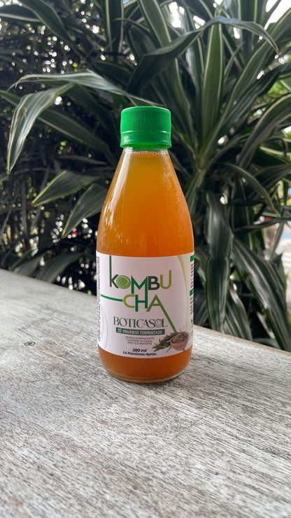 Kombucha