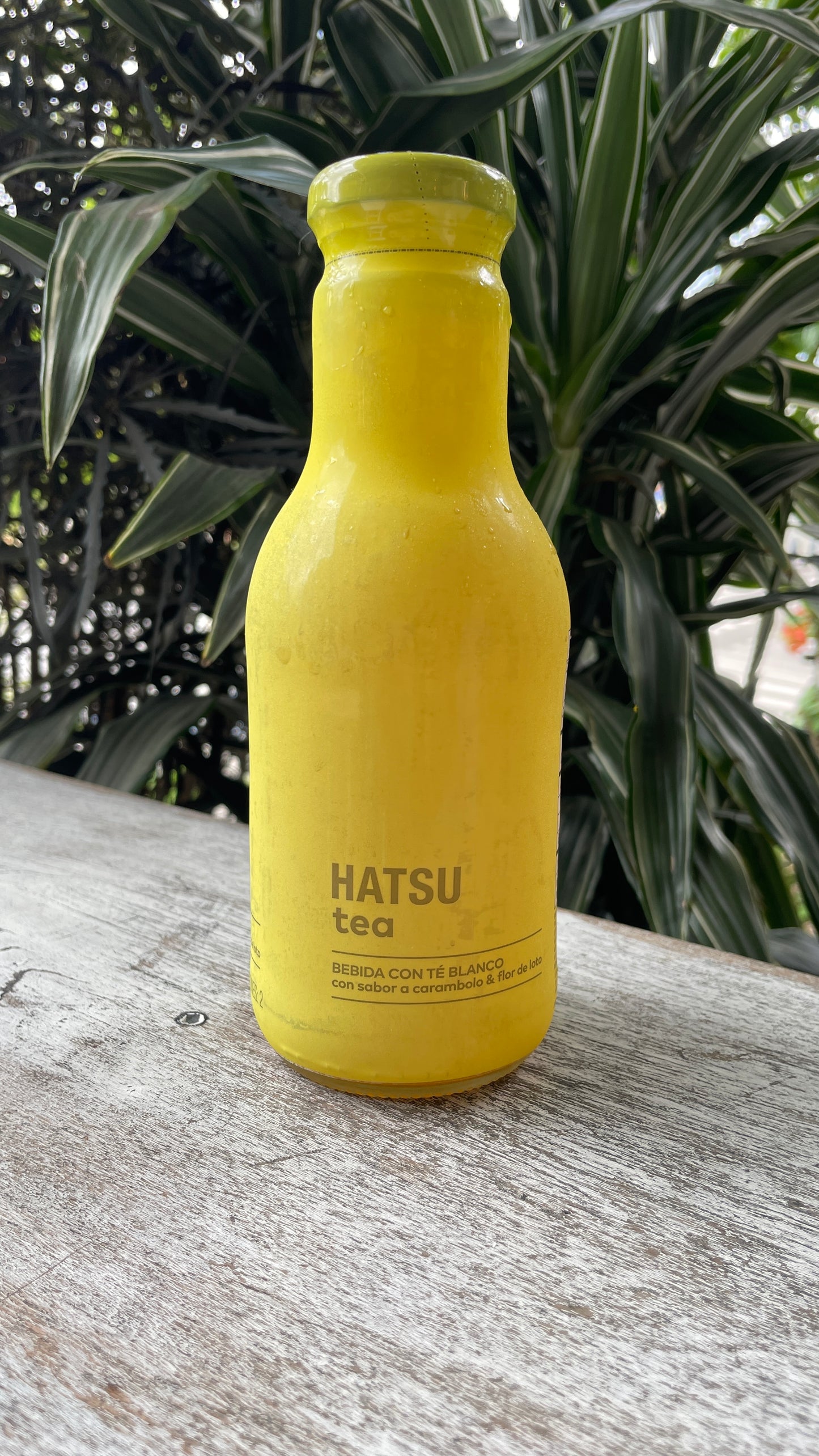 Tea Hatsu