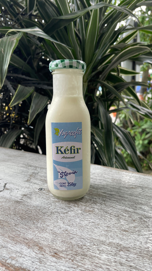 Yogreelit kefir con stevia