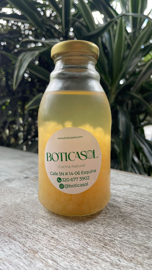 Nódulos de kefir