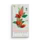 BARRA DE CHOCOLATE ANCESTRAL ORGANICS