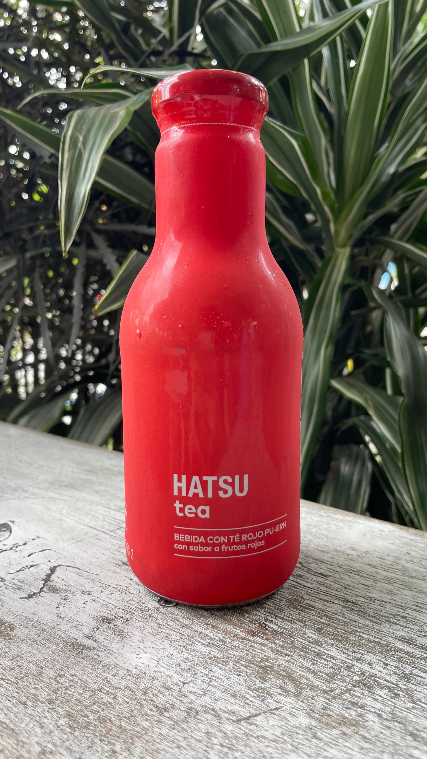 Tea Hatsu