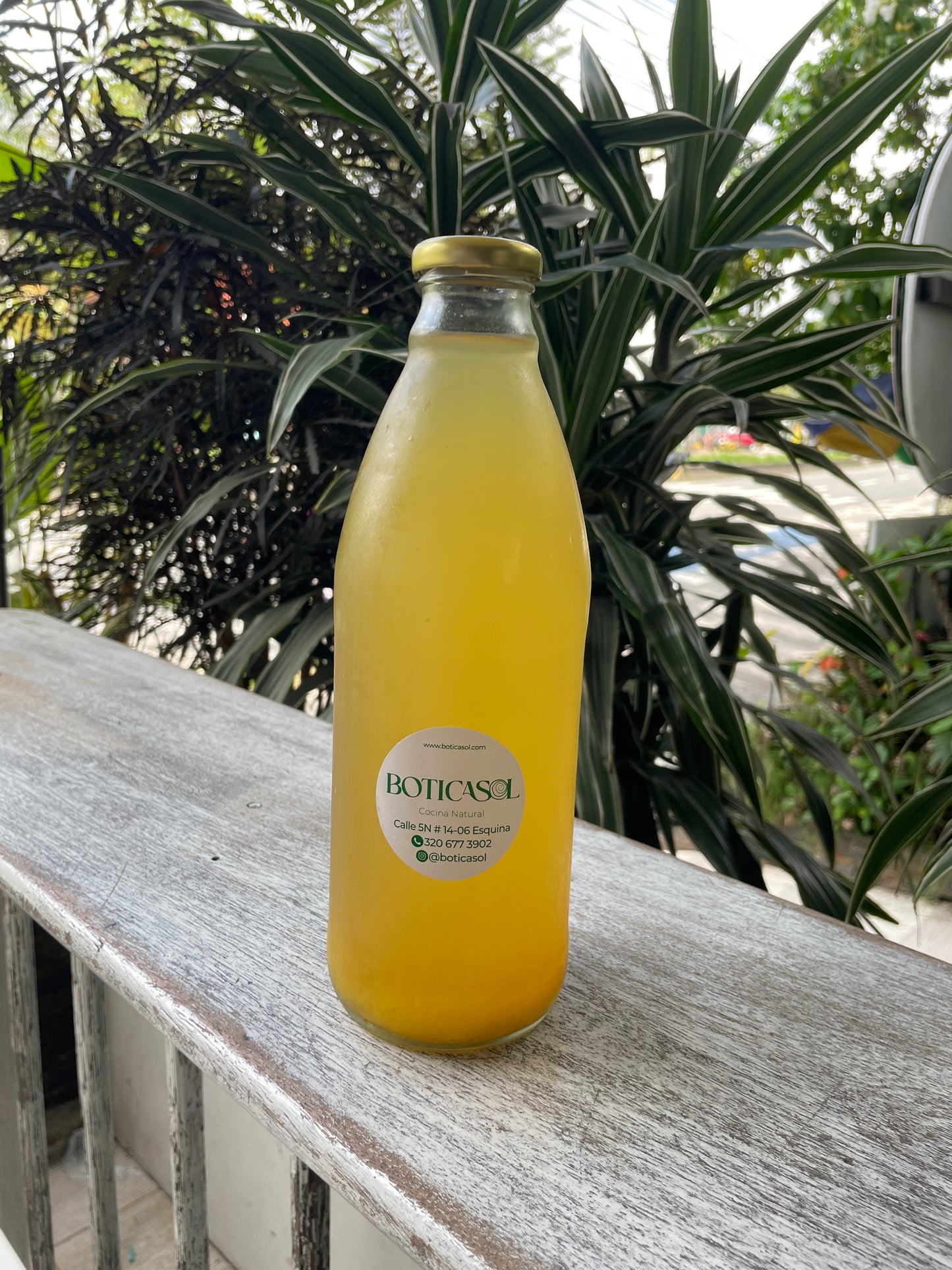 Kefir de agua