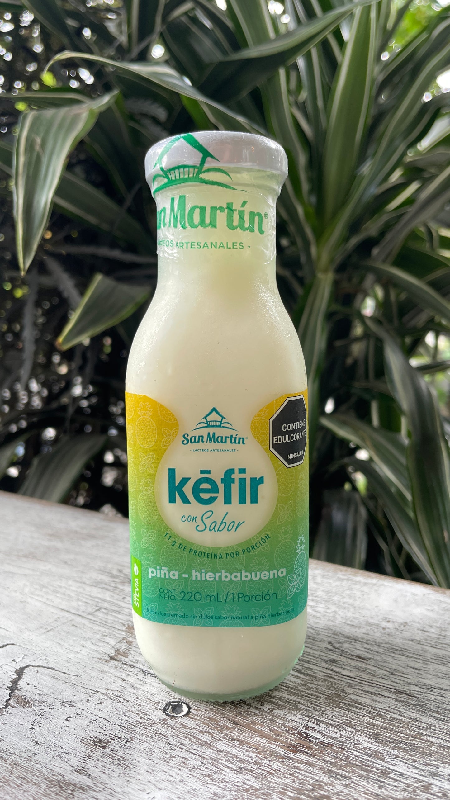 Kefir san martin