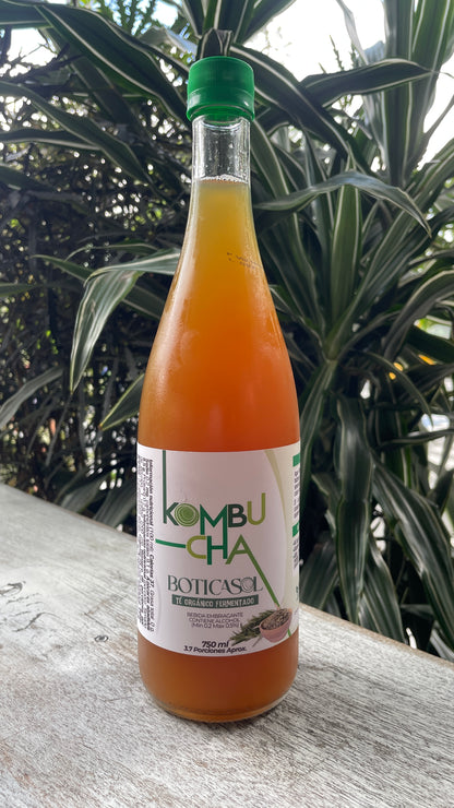 Kombucha