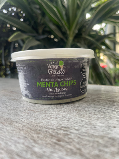 Veggie gelato Helado vegano