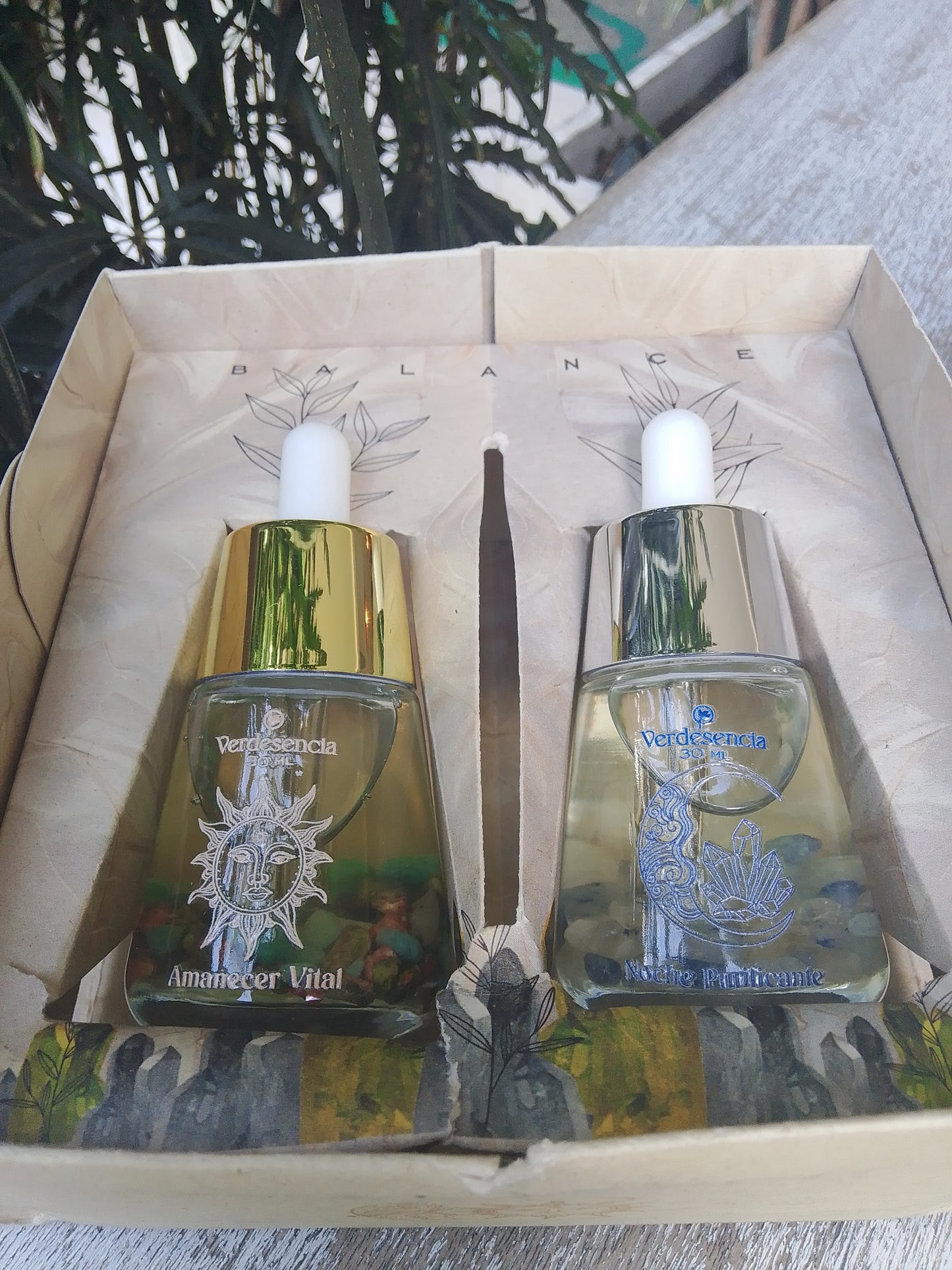 Kit Balance verdesencia